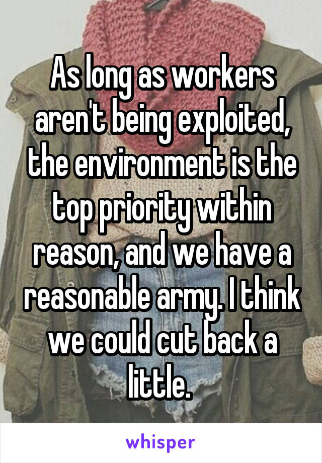 As long as workers aren't being exploited, the environment is the top priority within reason, and we have a reasonable army. I think we could cut back a little. 