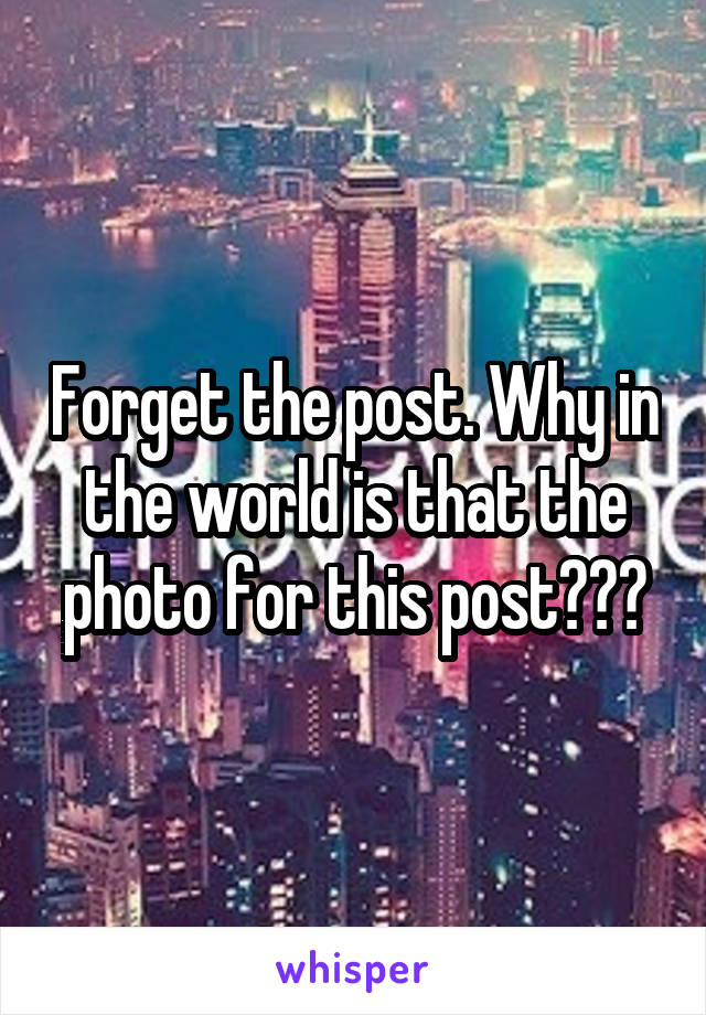 Forget the post. Why in the world is that the photo for this post???