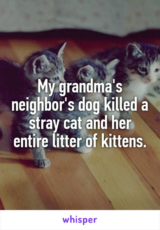 My grandma's neighbor's dog killed a stray cat and her entire litter of kittens.