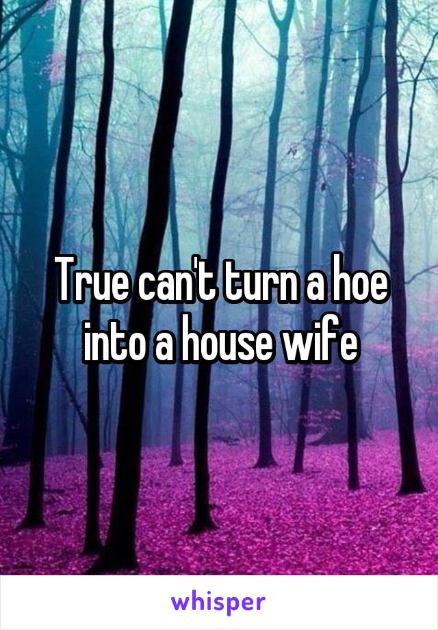 True can't turn a hoe into a house wife