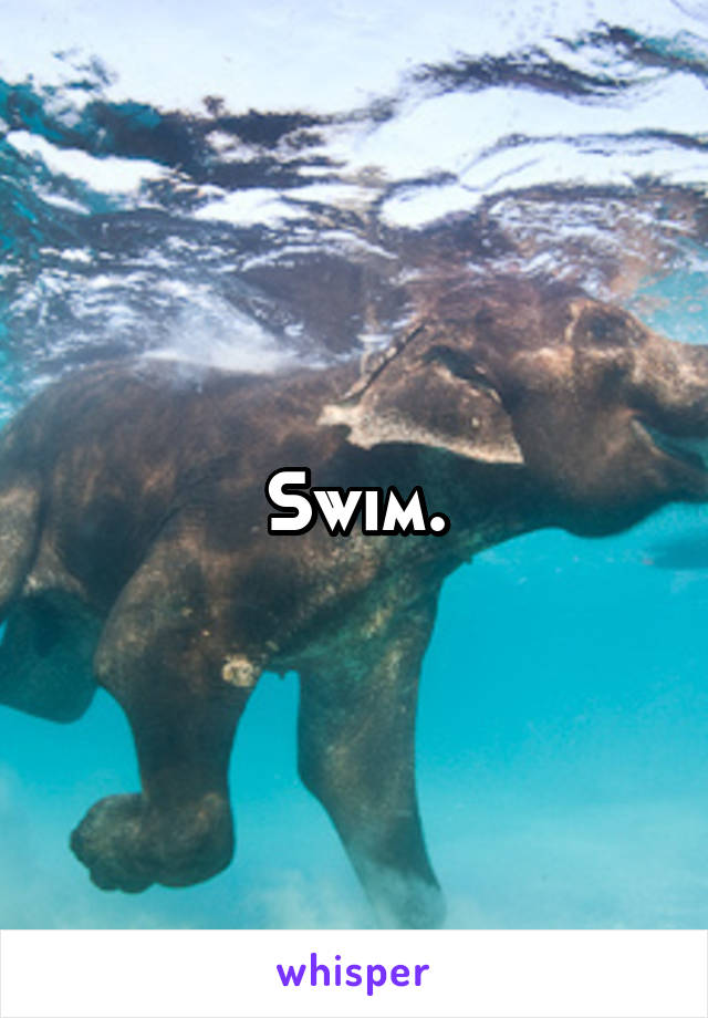 Swim.