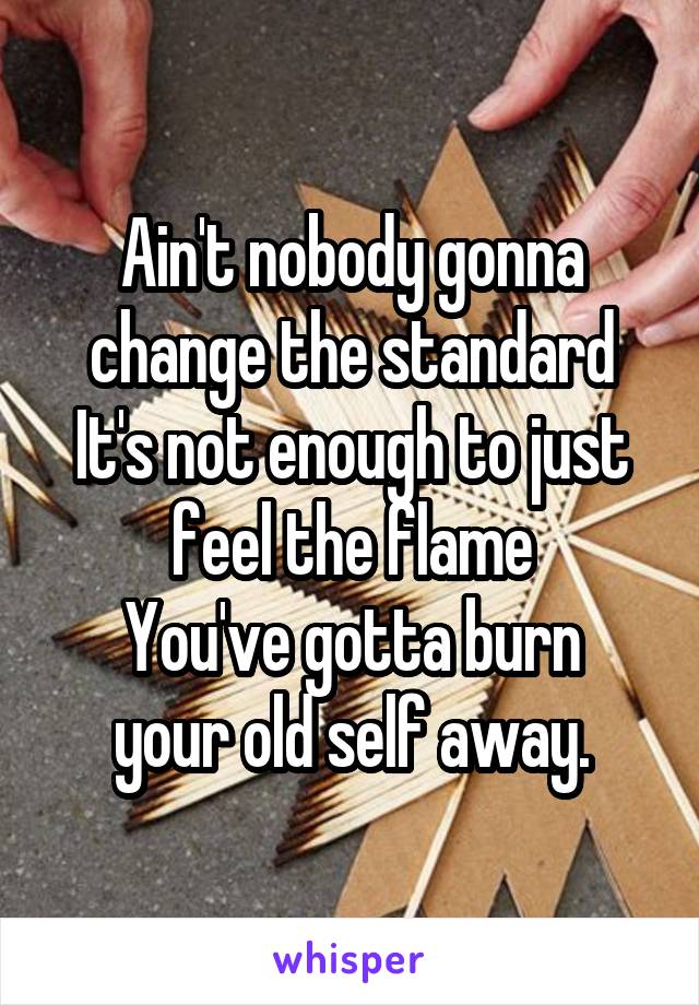 Ain't nobody gonna change the standard
It's not enough to just feel the flame
You've gotta burn your old self away.