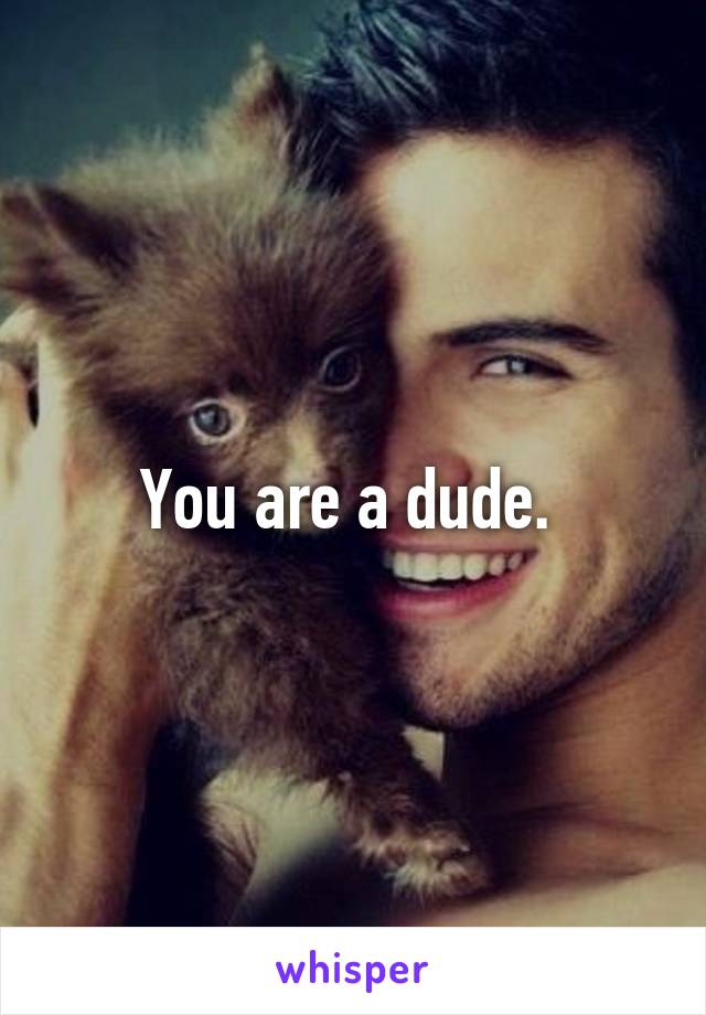 You are a dude. 