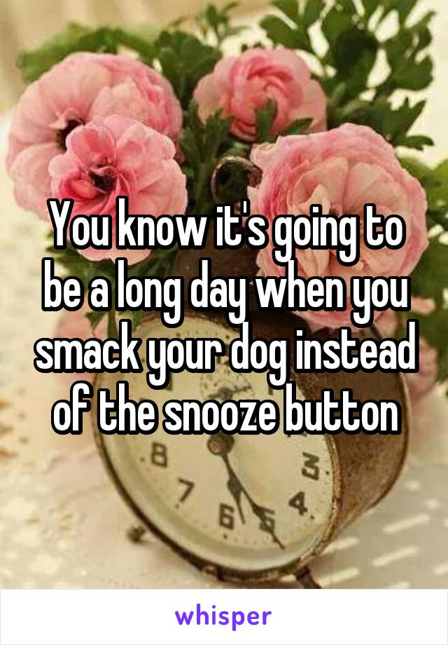 You know it's going to be a long day when you smack your dog instead of the snooze button