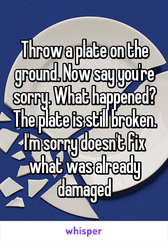 Throw a plate on the ground. Now say you're sorry. What happened? The plate is still broken. I'm sorry doesn't fix what was already damaged