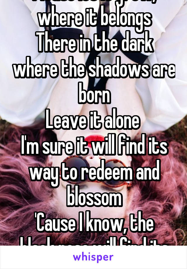 Please let it grow, where it belongs
There in the dark where the shadows are born
Leave it alone 
I'm sure it will find its way to redeem and blossom
'Cause I know, the black rose will find its home