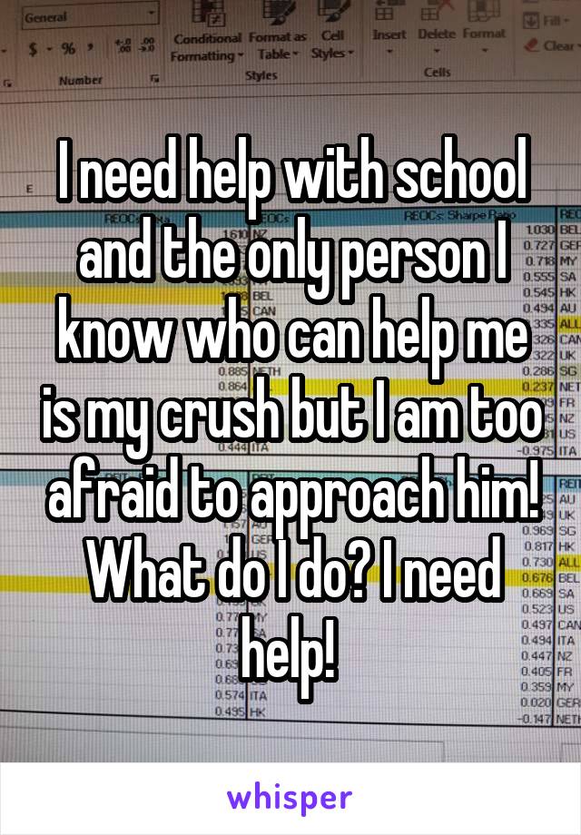 I need help with school and the only person I know who can help me is my crush but I am too afraid to approach him! What do I do? I need help! 