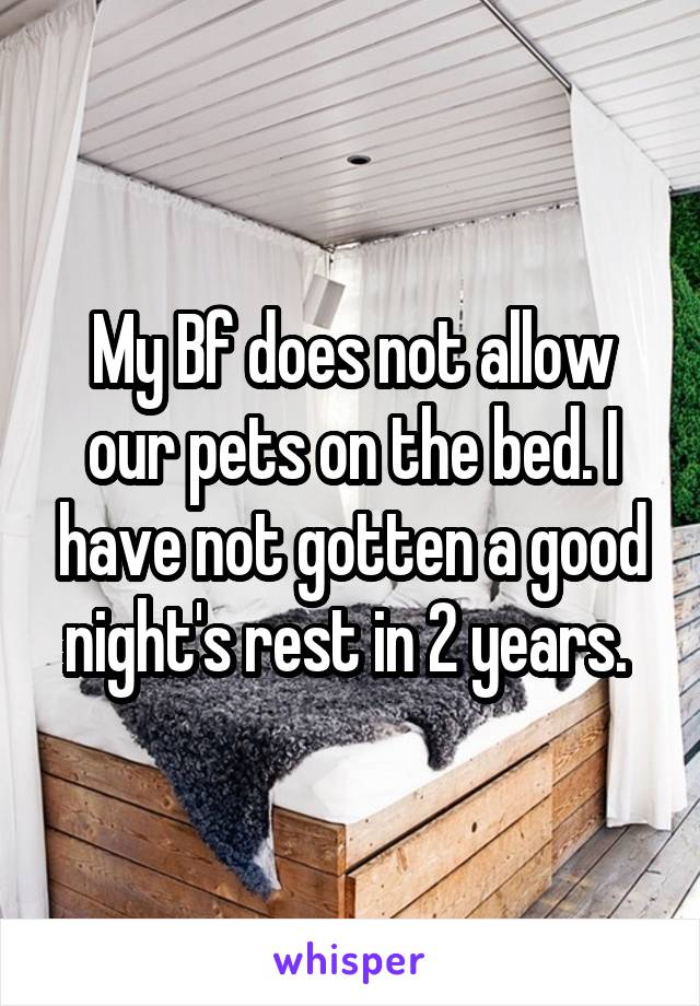 My Bf does not allow our pets on the bed. I have not gotten a good night's rest in 2 years. 