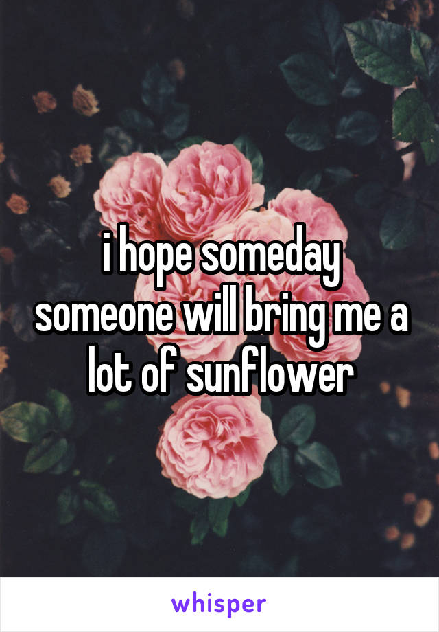i hope someday someone will bring me a lot of sunflower
