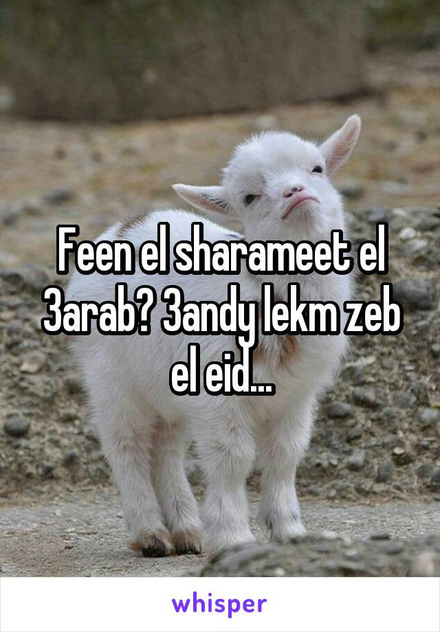 Feen el sharameet el 3arab? 3andy lekm zeb el eid...
