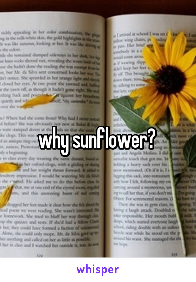 why sunflower? 