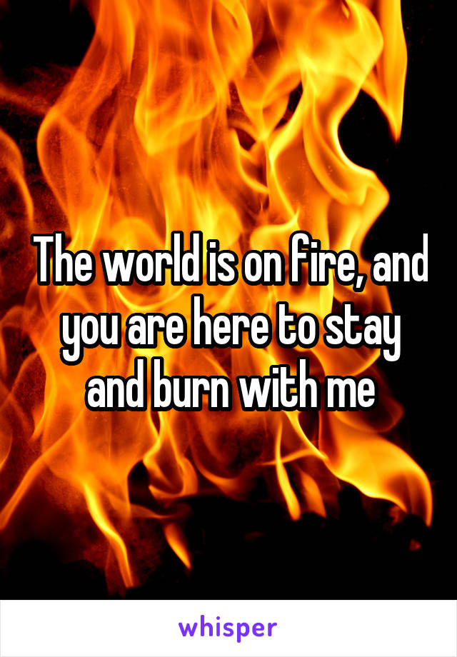 The world is on fire, and you are here to stay and burn with me