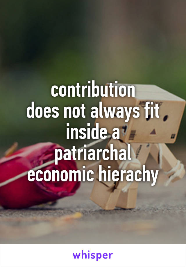 contribution
does not always fit
inside a
patriarchal
economic hierachy