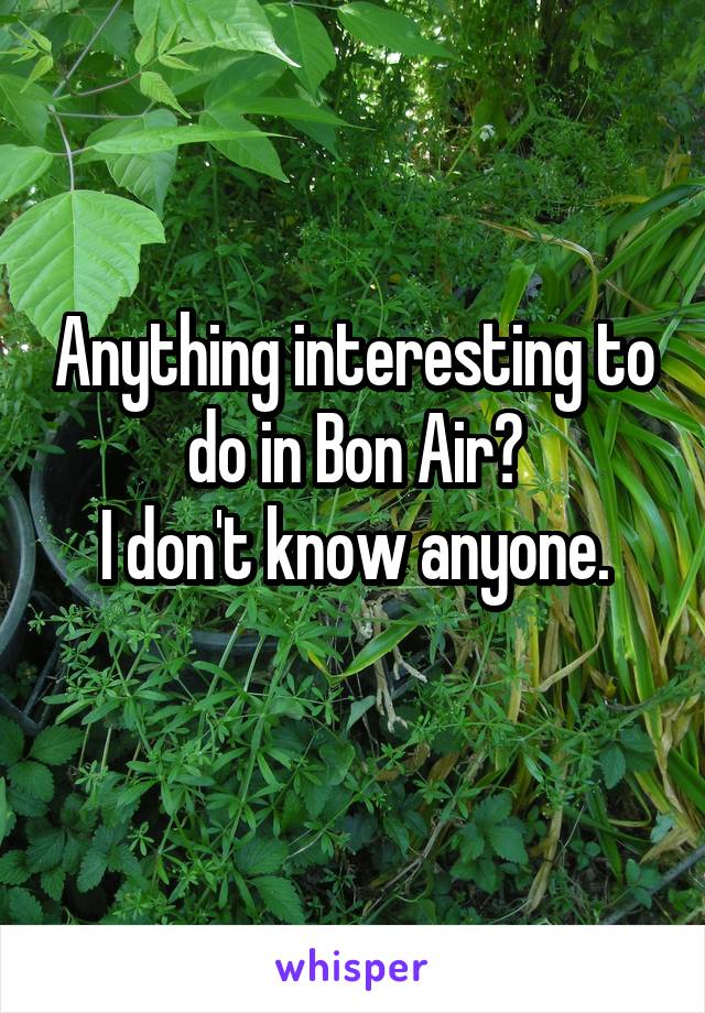 Anything interesting to do in Bon Air?
I don't know anyone.
