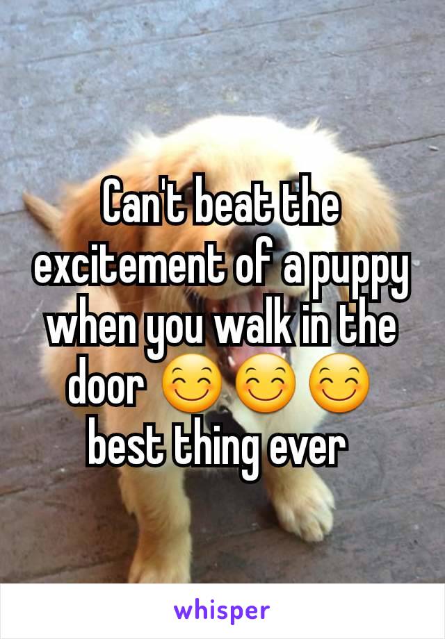 Can't beat the excitement of a puppy when you walk in the door 😊😊😊 best thing ever 