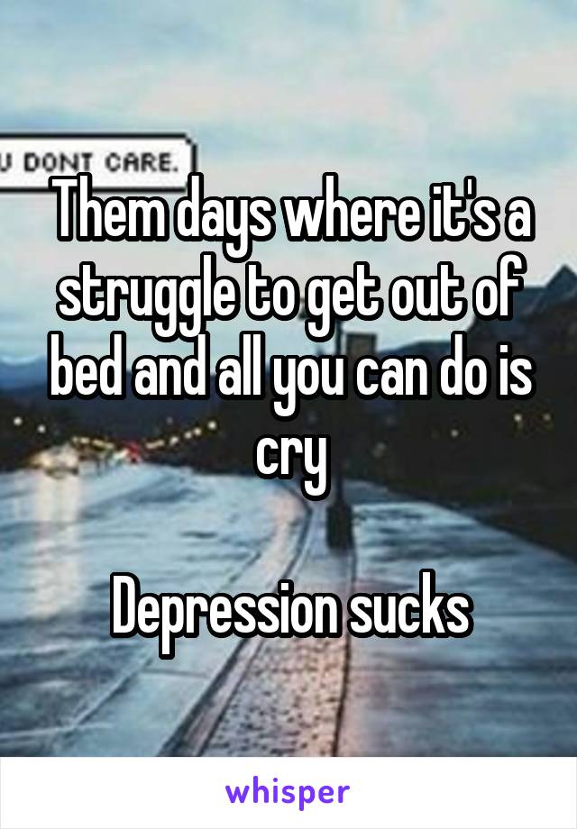 Them days where it's a struggle to get out of bed and all you can do is cry

Depression sucks