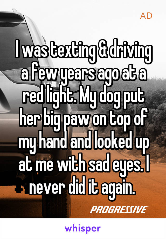 I was texting & driving a few years ago at a red light. My dog put her big paw on top of my hand and looked up at me with sad eyes. I never did it again. 