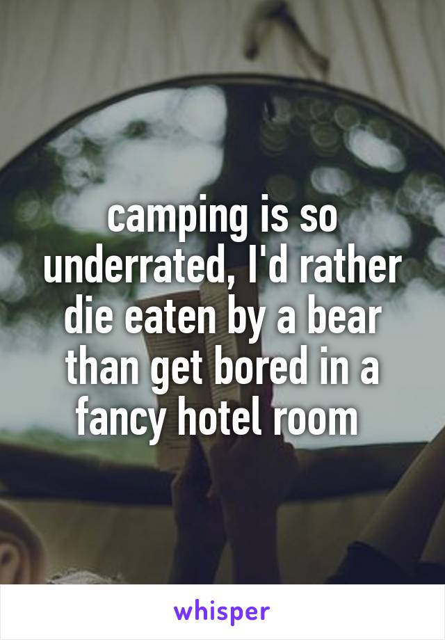 camping is so underrated, I'd rather die eaten by a bear than get bored in a fancy hotel room 