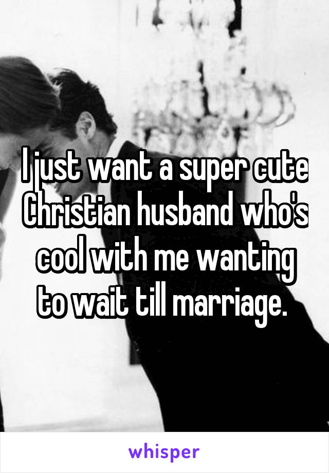 I just want a super cute Christian husband who's cool with me wanting to wait till marriage. 
