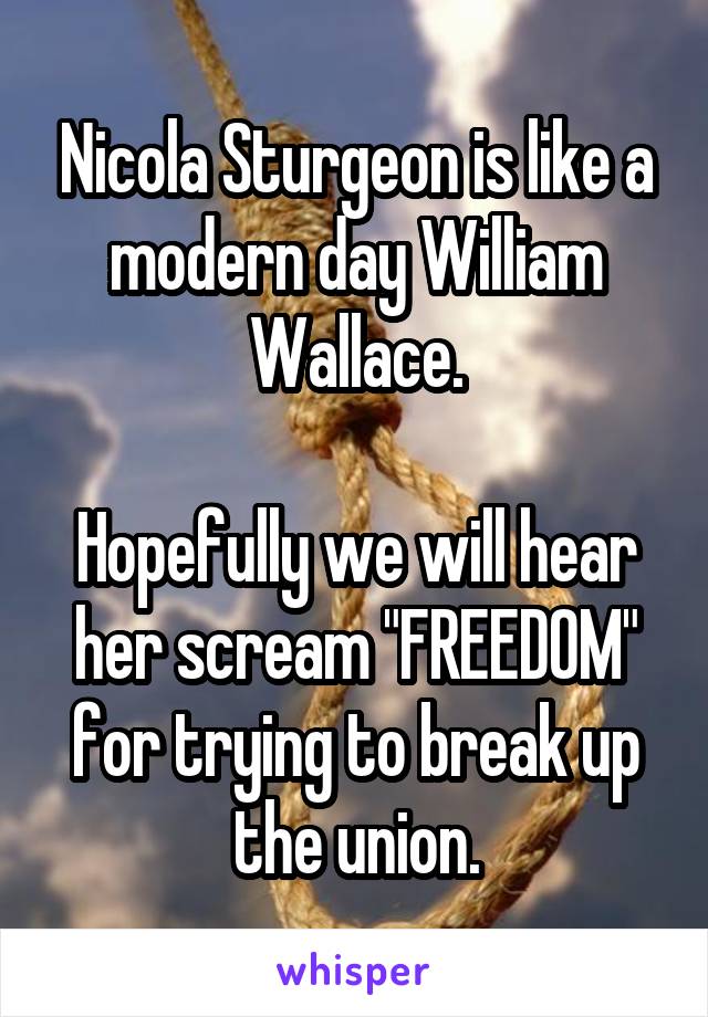 Nicola Sturgeon is like a modern day William Wallace.

Hopefully we will hear her scream "FREEDOM" for trying to break up the union.