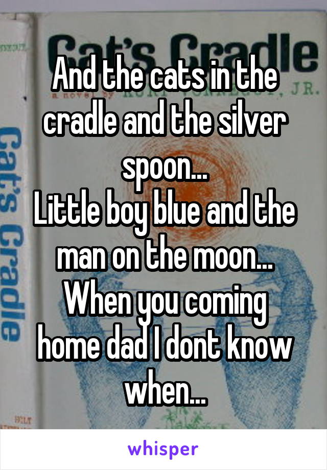 And the cats in the cradle and the silver spoon...
Little boy blue and the man on the moon...
When you coming home dad I dont know when...
