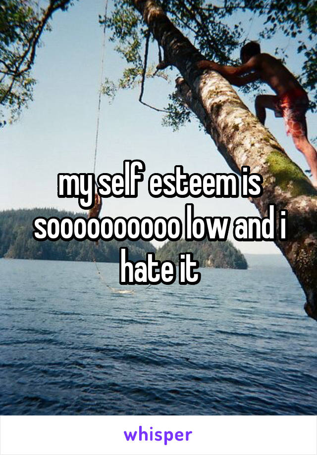 my self esteem is soooooooooo low and i hate it