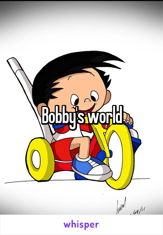 Bobby's world
