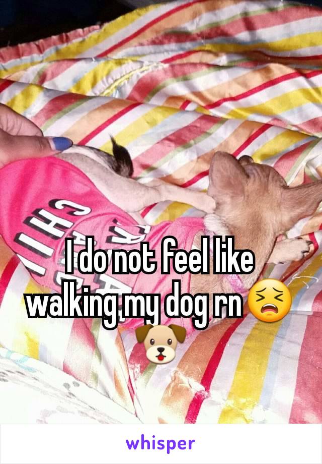 I do not feel like walking my dog rn😣🐶