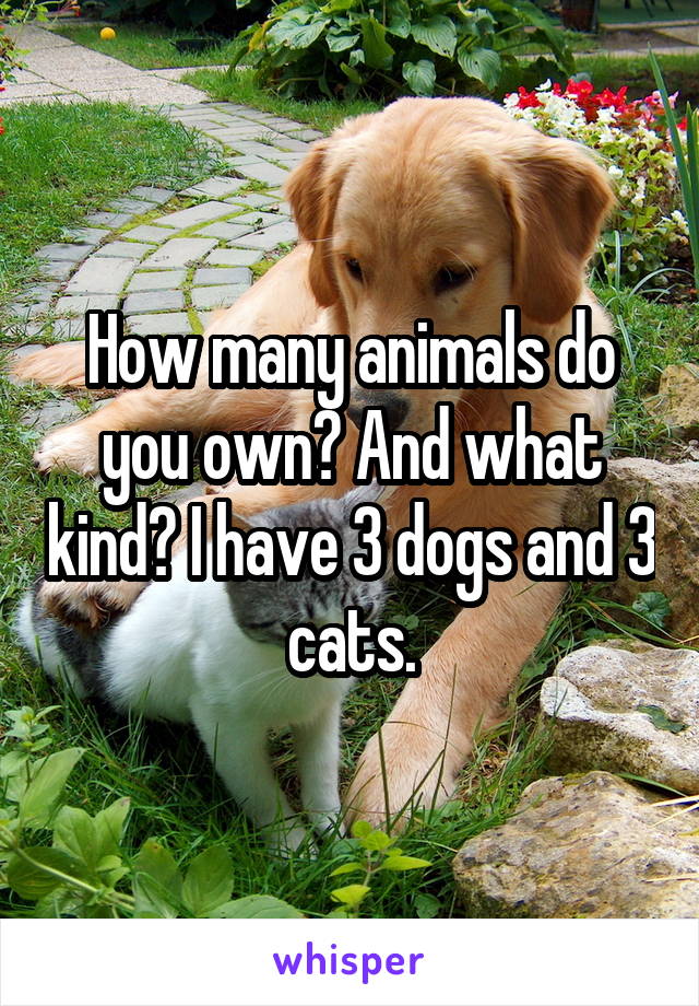 How many animals do you own? And what kind? I have 3 dogs and 3 cats.