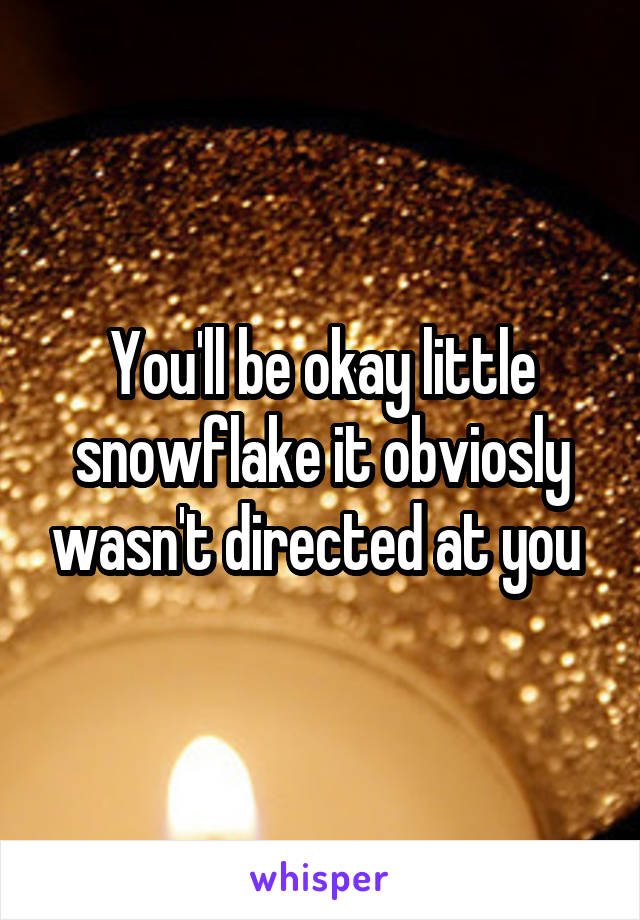 You'll be okay little snowflake it obviosly wasn't directed at you 