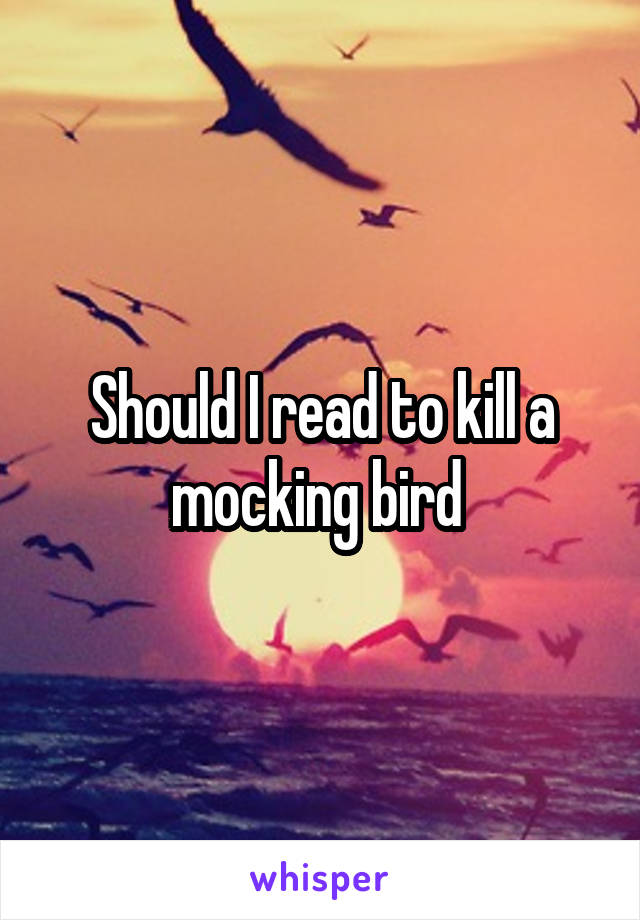 Should I read to kill a mocking bird 