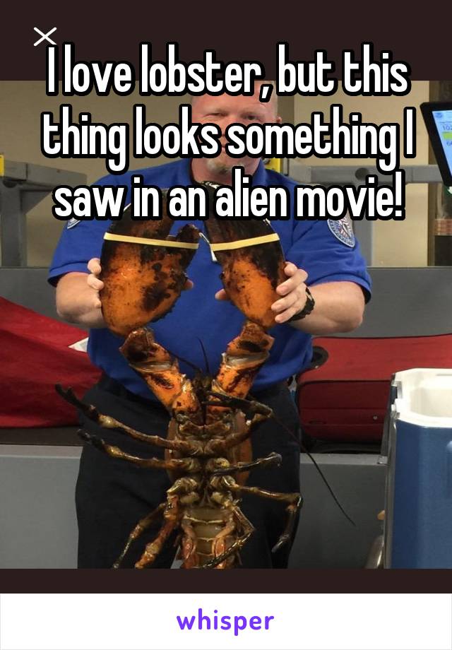 I love lobster, but this thing looks something I saw in an alien movie!





