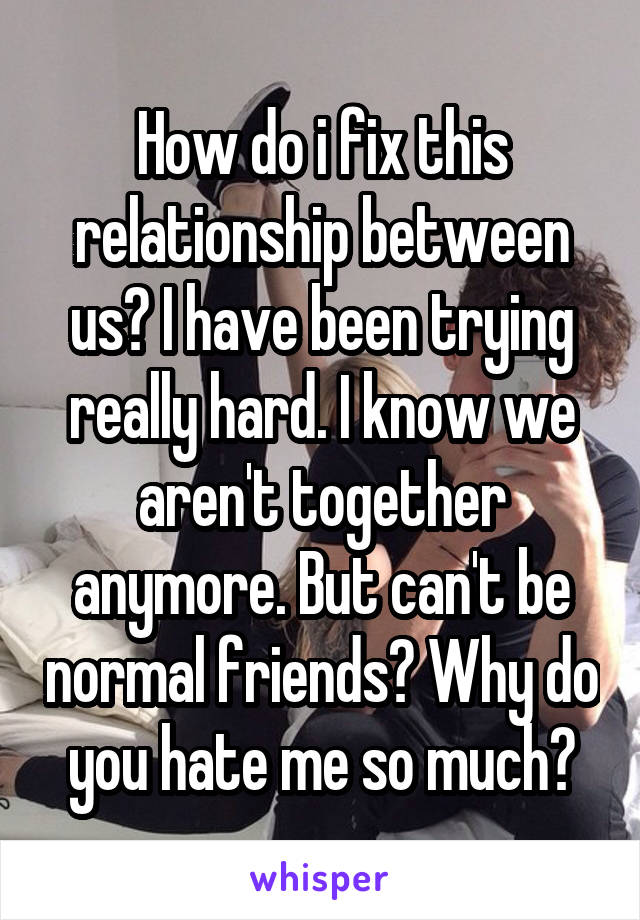 How do i fix this relationship between us? I have been trying really hard. I know we aren't together anymore. But can't be normal friends? Why do you hate me so much?