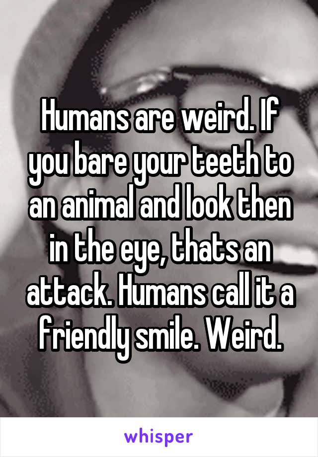 Humans are weird. If you bare your teeth to an animal and look then in the eye, thats an attack. Humans call it a friendly smile. Weird.