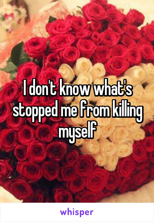 I don't know what's stopped me from killing myself