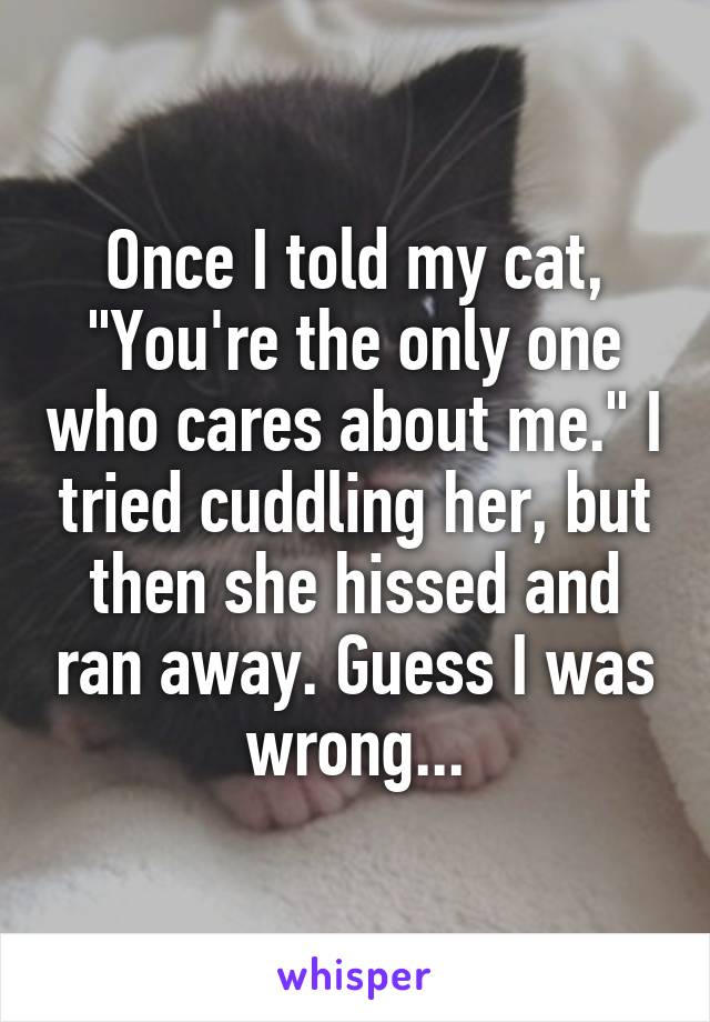 Once I told my cat, "You're the only one who cares about me." I tried cuddling her, but then she hissed and ran away. Guess I was wrong...