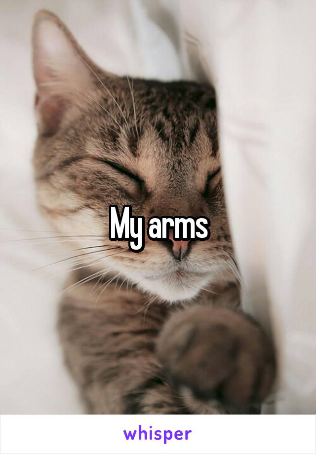 My arms