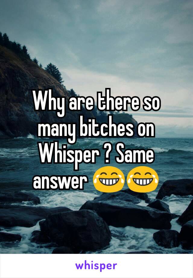 Why are there so many bitches on Whisper ? Same answer 😂😂