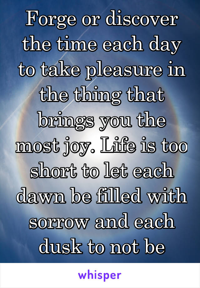 Forge or discover the time each day to take pleasure in the thing that brings you the most joy. Life is too short to let each dawn be filled with sorrow and each dusk to not be filled with joy. 