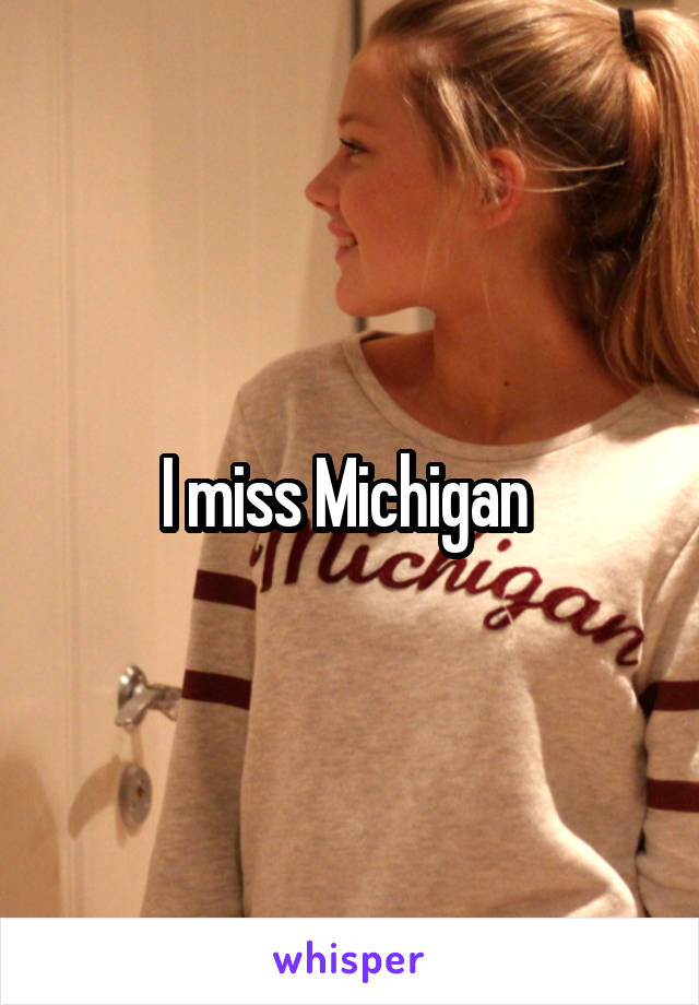 I miss Michigan 