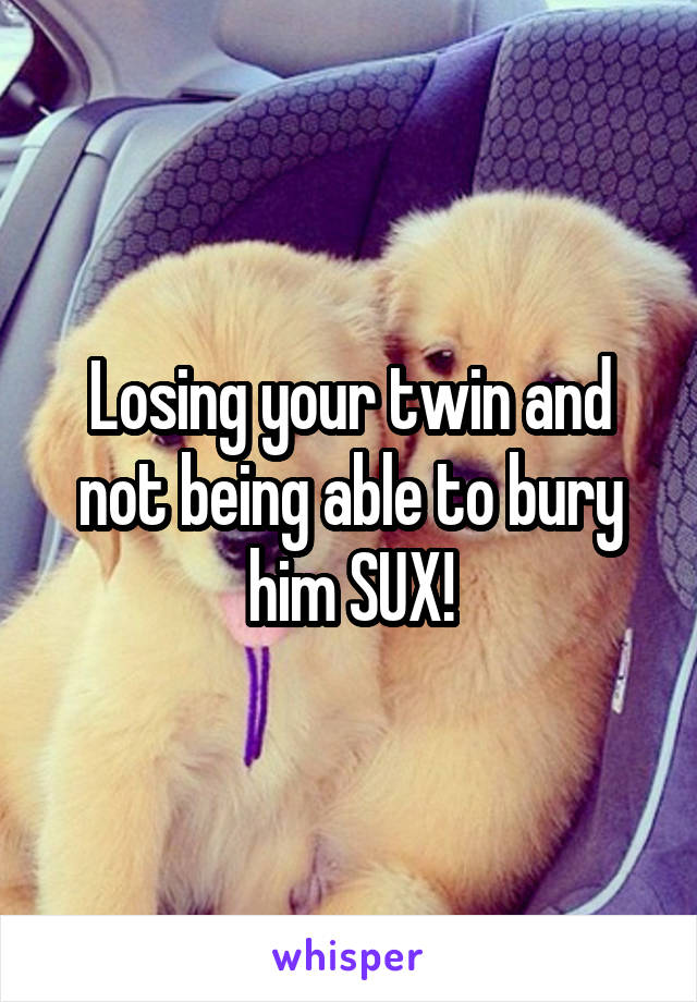 Losing your twin and not being able to bury him SUX!