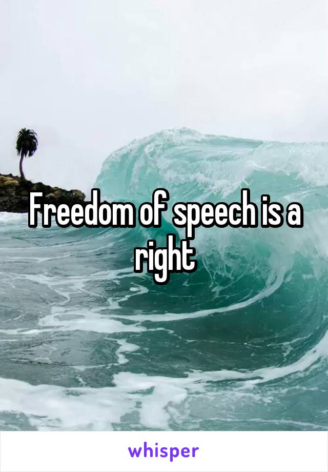 Freedom of speech is a right