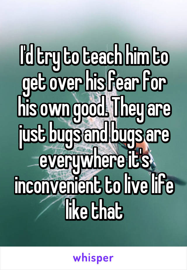 I'd try to teach him to get over his fear for his own good. They are just bugs and bugs are everywhere it's inconvenient to live life like that