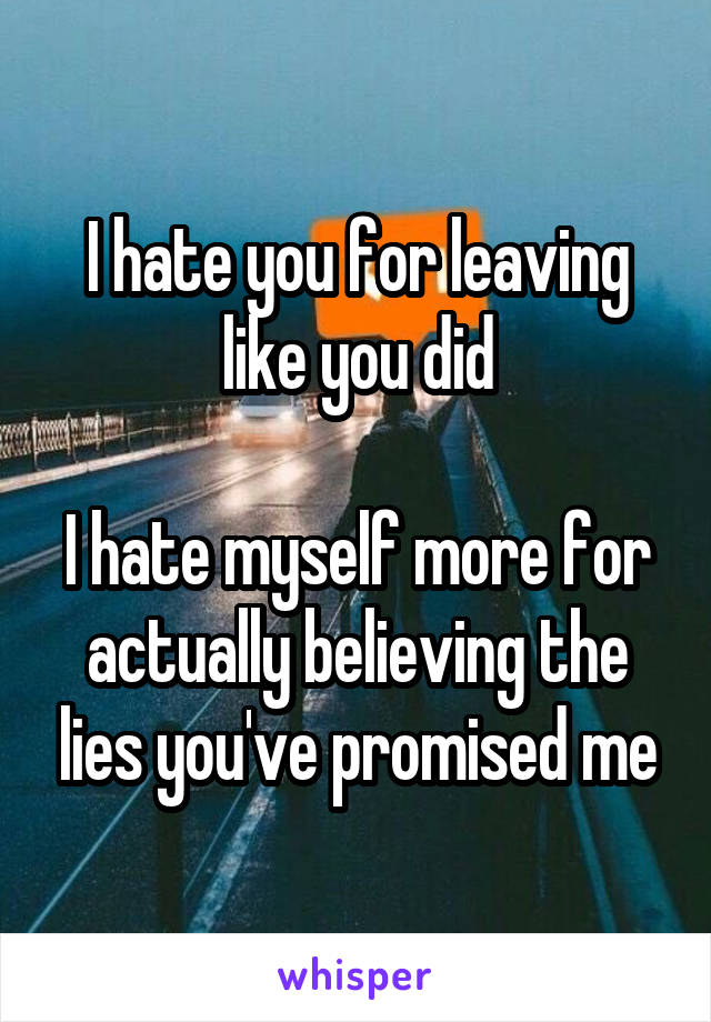 I hate you for leaving like you did

I hate myself more for actually believing the lies you've promised me