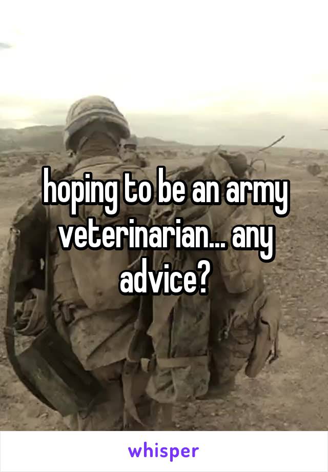 hoping to be an army veterinarian... any advice?