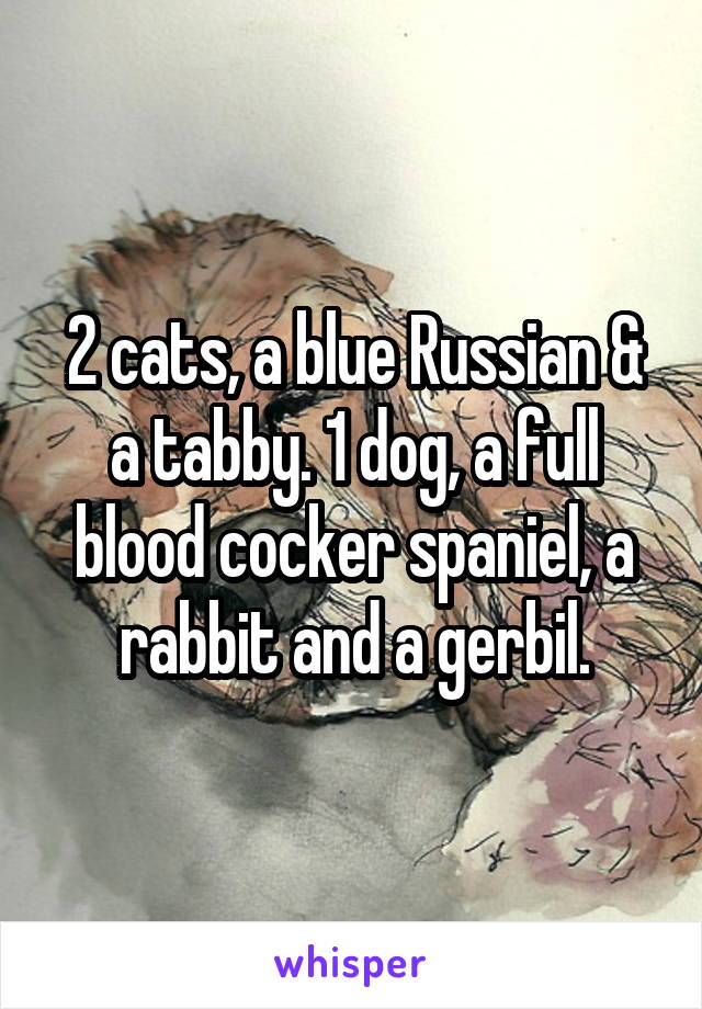 2 cats, a blue Russian & a tabby. 1 dog, a full blood cocker spaniel, a rabbit and a gerbil.