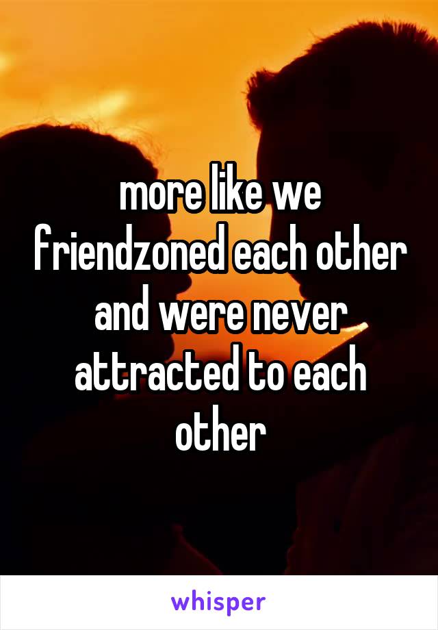 more like we friendzoned each other and were never attracted to each other