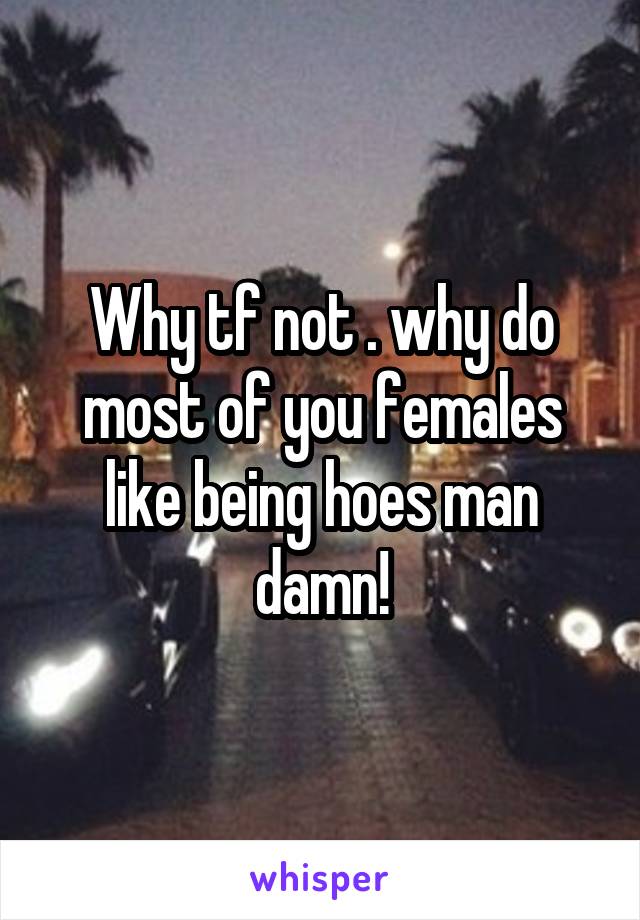 Why tf not . why do most of you females like being hoes man damn!