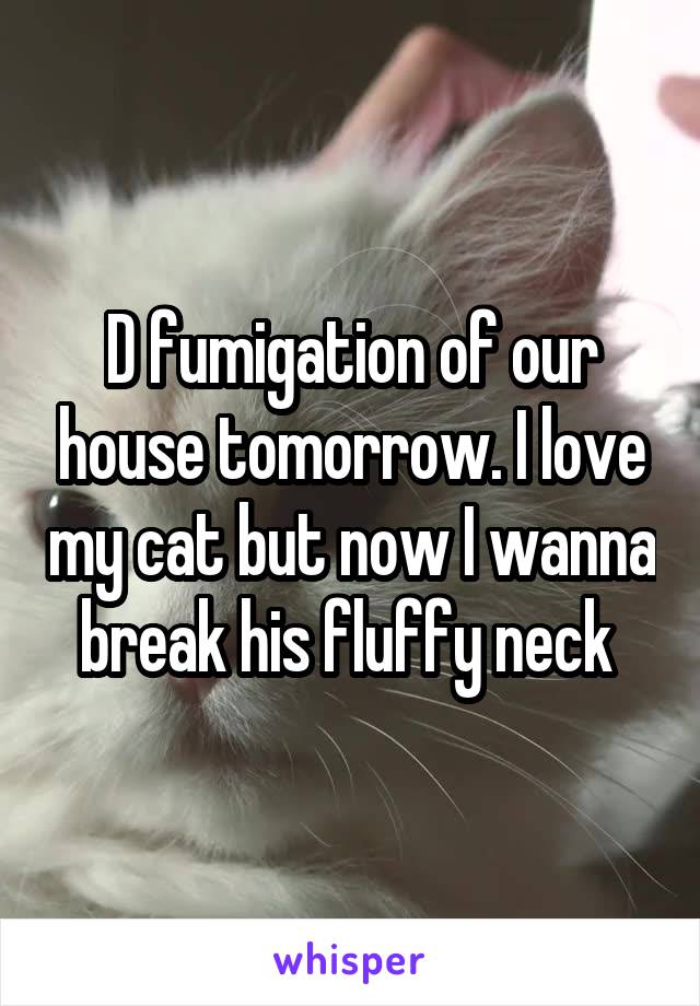 D fumigation of our house tomorrow. I love my cat but now I wanna break his fluffy neck 