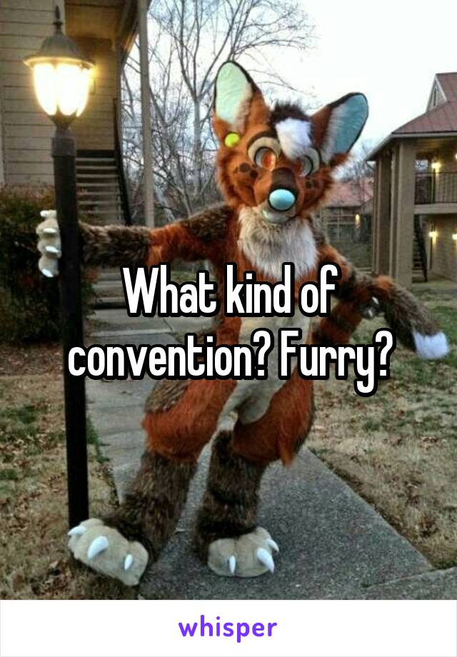 What kind of convention? Furry?